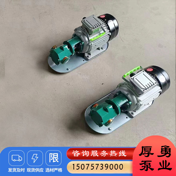 手提泵 便携式齿轮泵 304不锈钢齿轮油泵现货多