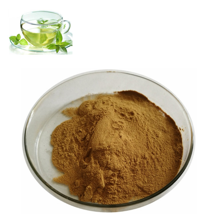 藤茶提取物 二氢杨梅素98% 多规格比例浓缩 斯诺特生物