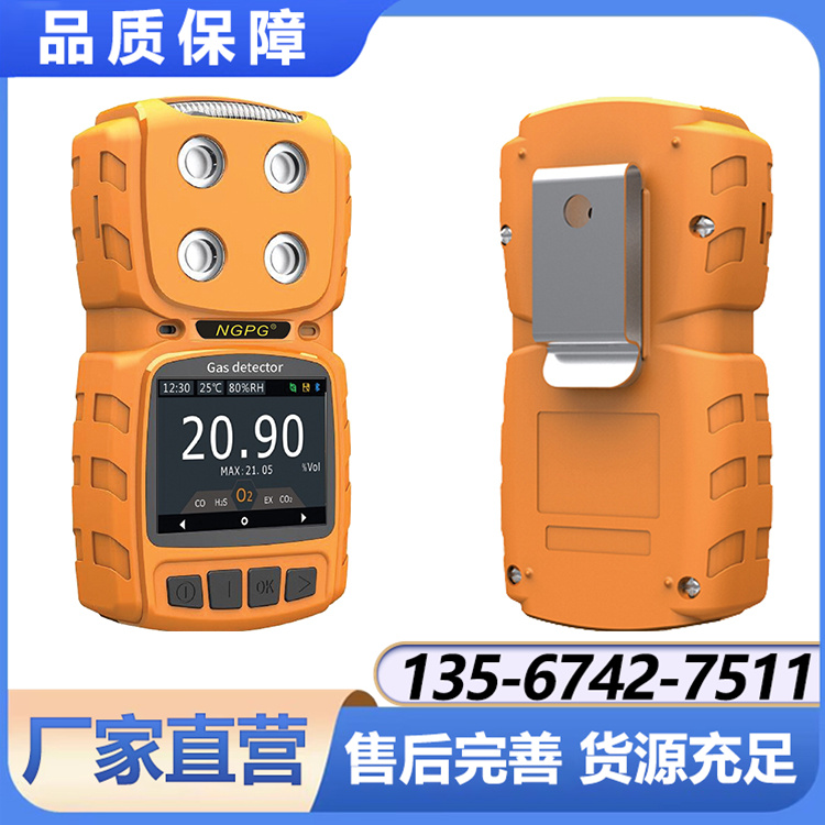 NGP8-M4-CO便携式四合一一氧化碳检测仪 源头厂家