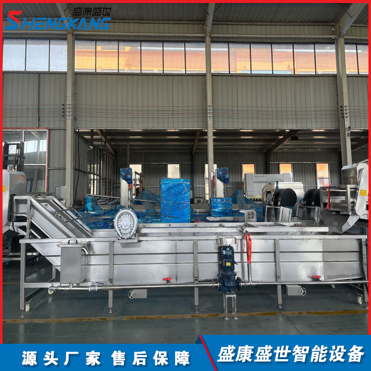 大型净菜加工设备  货源充足 盛康定制