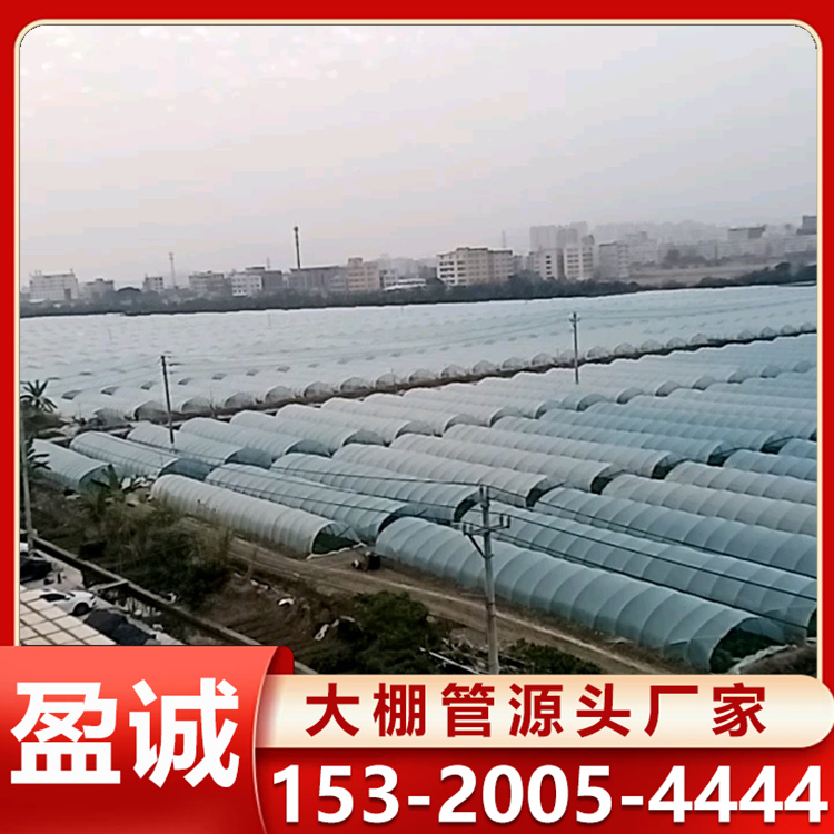 镀锌钢管 温室大棚 种植棚 蔬菜西瓜大棚 框架坚固 透光性好