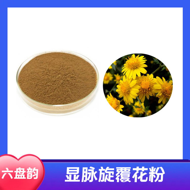 显脉旋覆花粉  水溶粉 浓缩速溶粉 提取物 喷雾干燥粉 六盘韵生物