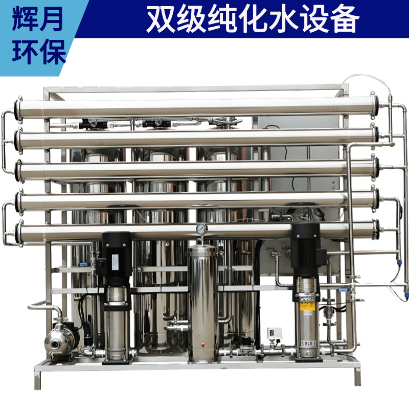 超纯水设备厂家 edi高纯水机订制 辉月环保RO40