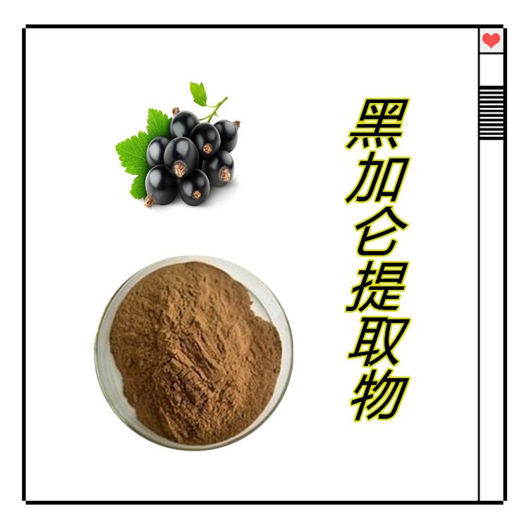 黑加仑提取物  质量稳定   国标生产   食品级     可水溶定制     比例产品