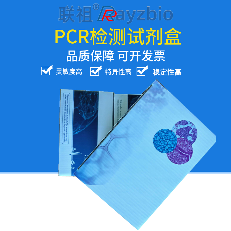 脑膜炎奈瑟菌通用型(NM-U)核酸检测试剂盒(荧光-PCR法)