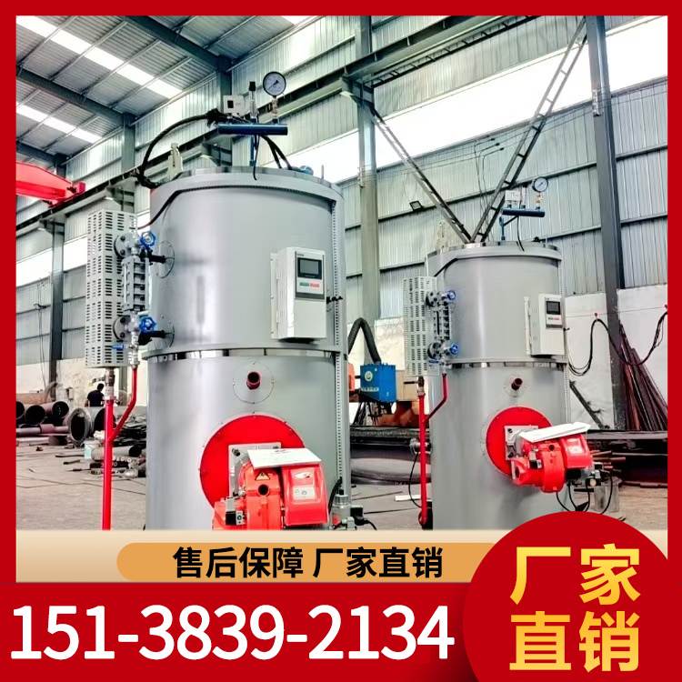 燃气蒸汽发生器 燃油蒸汽发生器 力能锅炉定制价格 现货充足