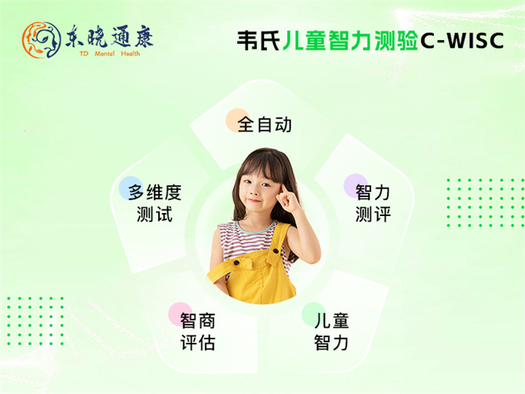 TD韦氏儿童智力测验C-WISC 儿童综合素质测试