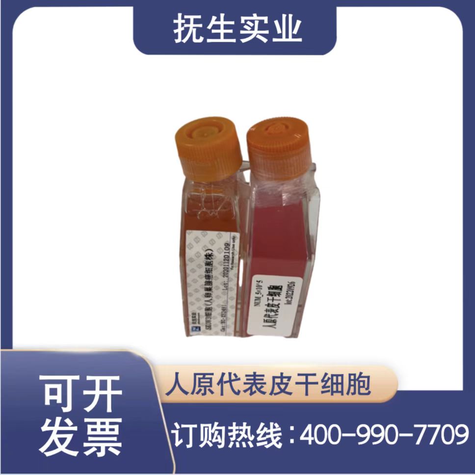 hTERTNF1ipNF95.11bC人丛状神经纤维瘤细胞雪旺细胞