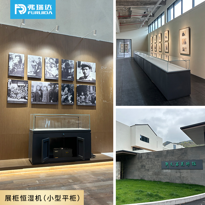 弗瑞达展柜恒湿机-小型平柜案例展示
