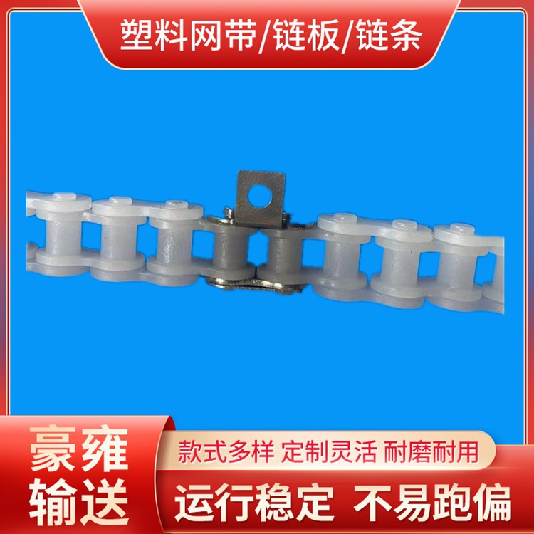 PVDF耐酸碱传动链条带侧边小耳朵异件定做节距12.7mm输送链