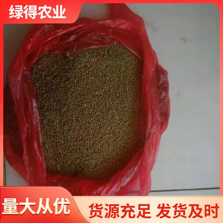 黑谷种子服务电话