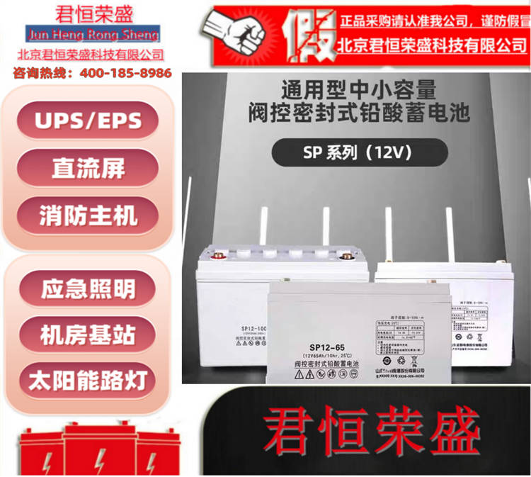 圣阳电池 直流屏UPS应急电源 太阳能通讯监控照明
