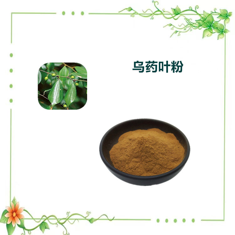 沃特莱斯生物 乌药叶提取物 萃取粉 喷雾干燥粉 1公斤起订