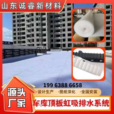 塑料排水板 虹吸排水板  虹吸排水系统 滤水板 凹凸排水板