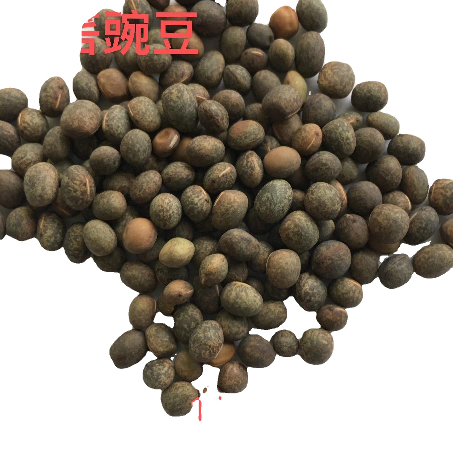 紫云英 四川基地批发牧草绿肥箭舌豌豆 光叶紫花苕箭筈 舌豌豆种籽厂商
