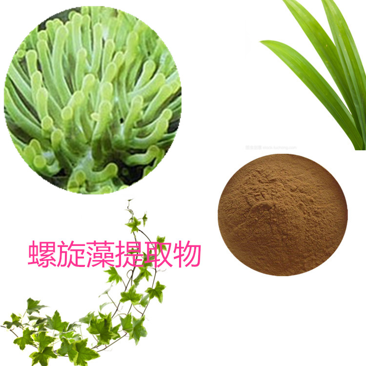顿顶螺旋藻提取物 10:1 水提 螺旋藻粉 螺旋藻多糖 30%