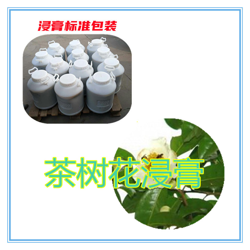 茶树花浸膏粉 茶树花提取液 10:1 水提 多规格比例