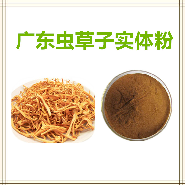 沃特莱斯生物 广东虫草子实体粉 水溶性好 1公斤起订 可寄样品