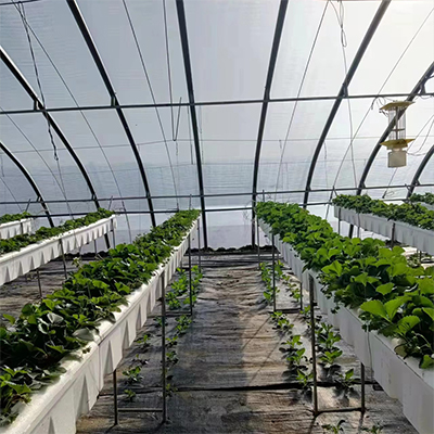提供草莓种植土扦插基质育苗土栽培基质出苗齐苗壮盘根好老品牌