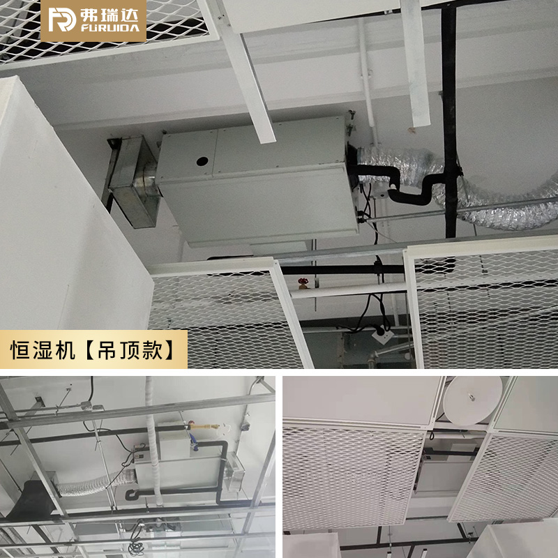 弗瑞达恒湿机-艺术馆案例展示【吊顶款】