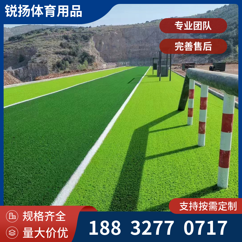 户外仿真人造草皮地毯学校室外操场人造草坪 围挡绿化人工假草坪