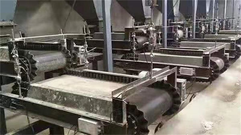 轩阳 双层皮带秤大型实体生产厂家！