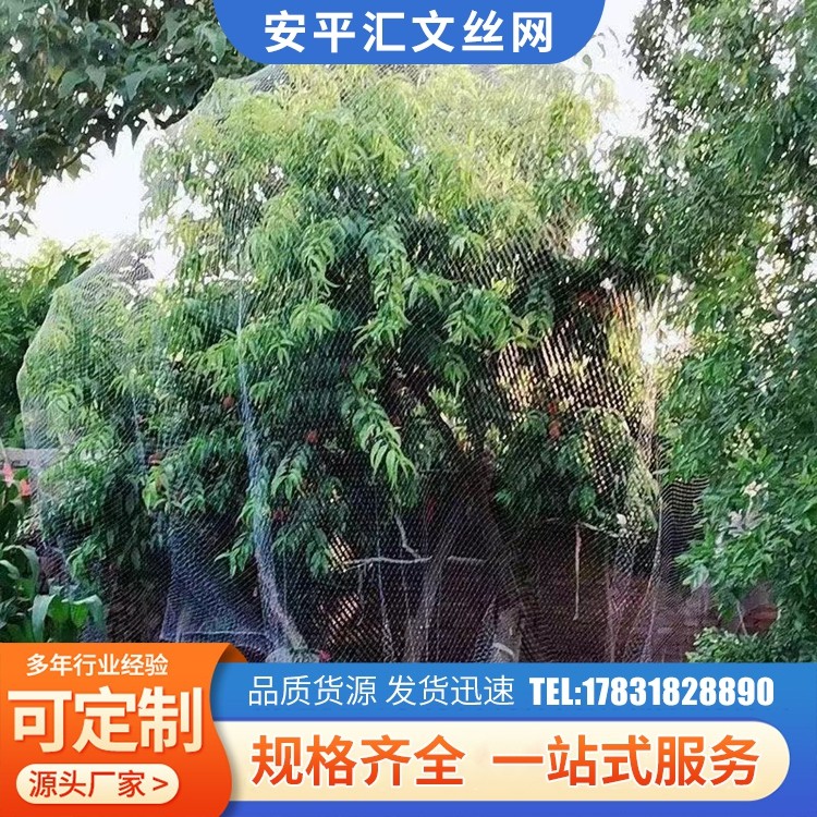 机场防鸟网葡萄果园 新料抗老化 运输方便