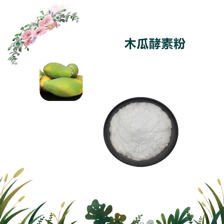 沃特莱斯生物 木瓜酵素粉 水溶性粉末 1公斤起订 可寄样品