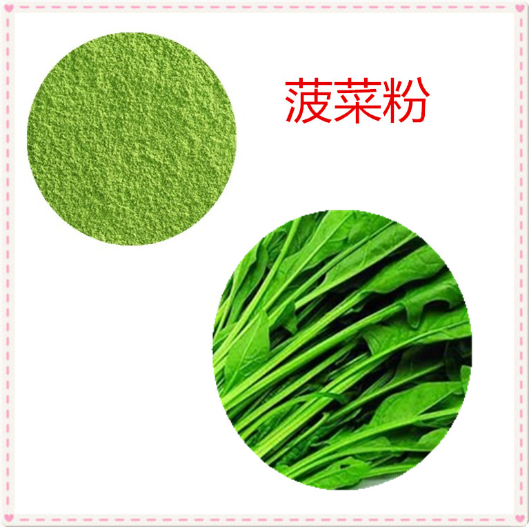菠菜粉 98% 菠菜水溶粉 菠菜浓缩粉 菠菜膳食纤维
