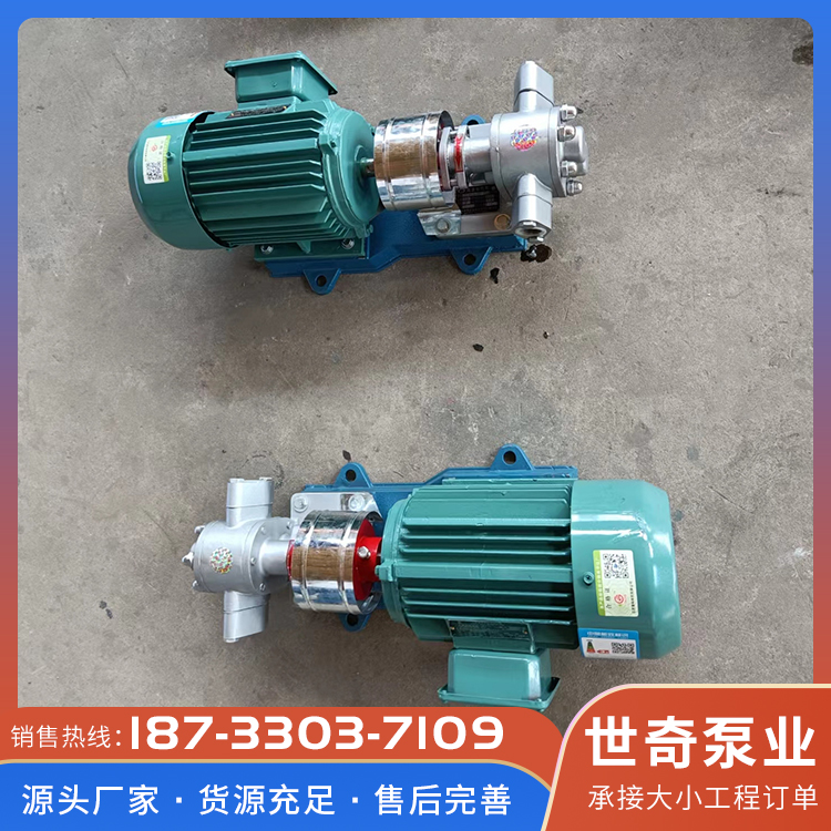不锈钢齿轮泵型号齐全