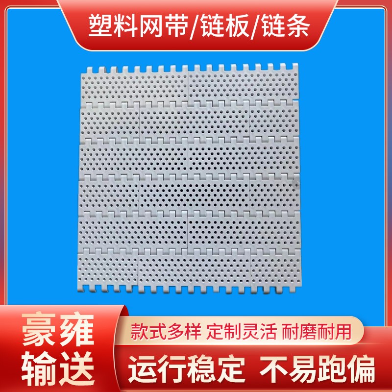 800圆孔网带链 塑料网带 塑钢网带 传动网带 输送网带MPB输送带