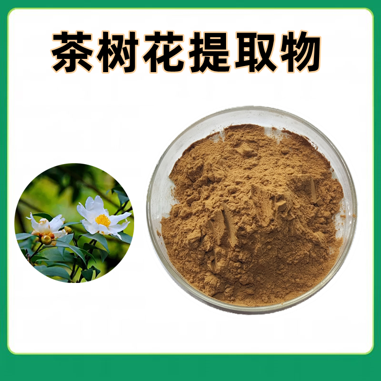 茶树花提取物 免费试样 质量稳定 精选原料 粉质细腻 无结块