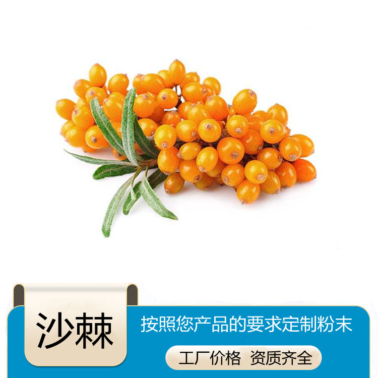 沙棘提取物 沙棘黄酮浓缩拆包打样 斯诺特生物 来料代工