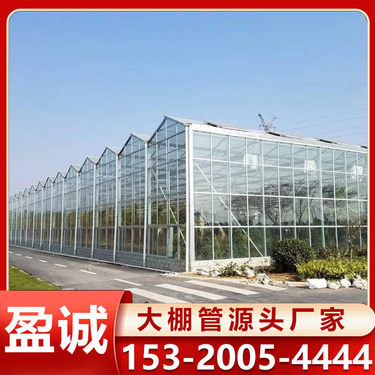 连栋玻璃温室大棚 无土栽培 坚固耐用 安装方便简易