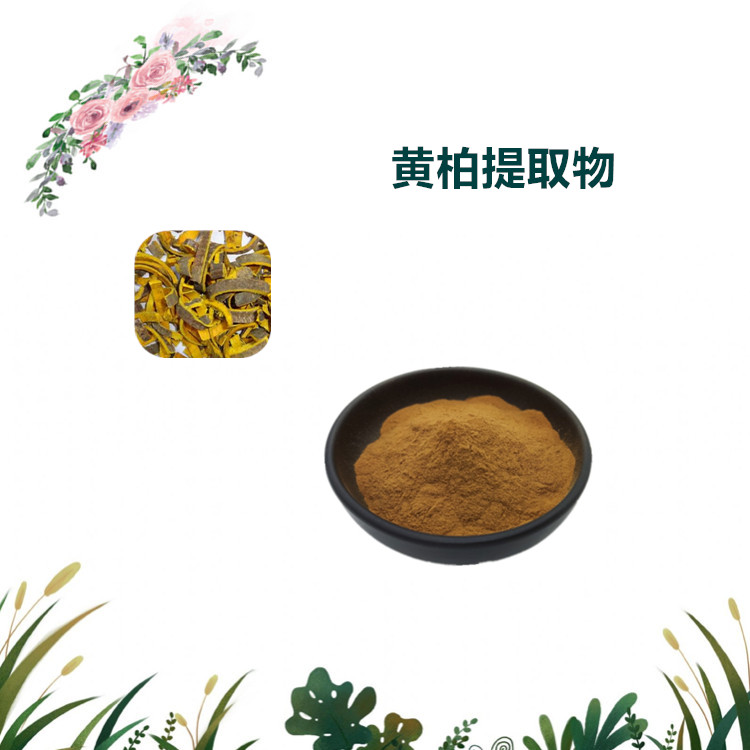 沃特莱斯生物 黄柏提取物 萃取粉 浸膏粉 水溶性好 1公斤起订