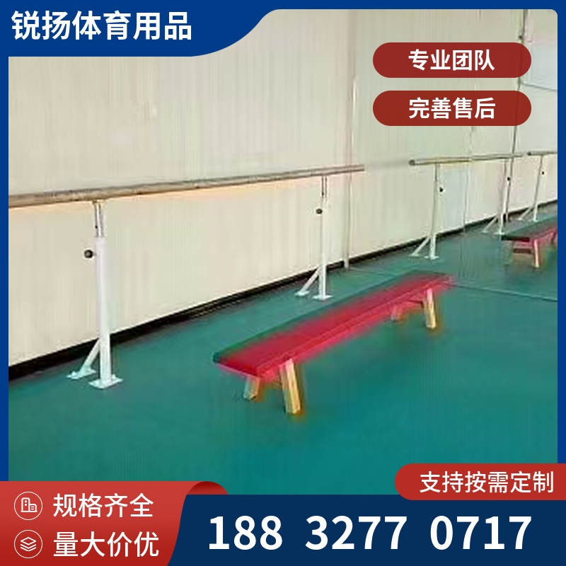 壁挂式舞蹈把杆 舞蹈室专用 双层可升降压腿杆厂家 支持定制