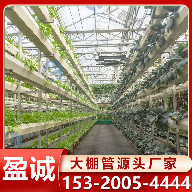 智能温室大棚 抗风力大 骨架安装 蓝莓种植钢架大棚管批发