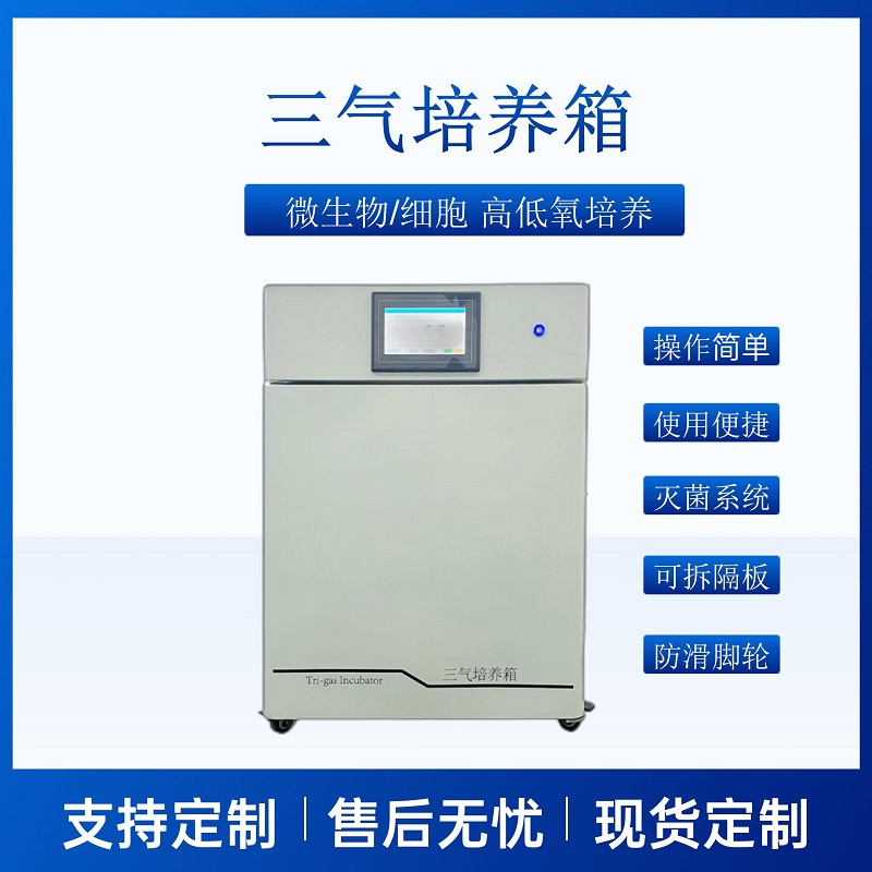 三气培养箱CYSQ-50-III  实验室多气体培养箱