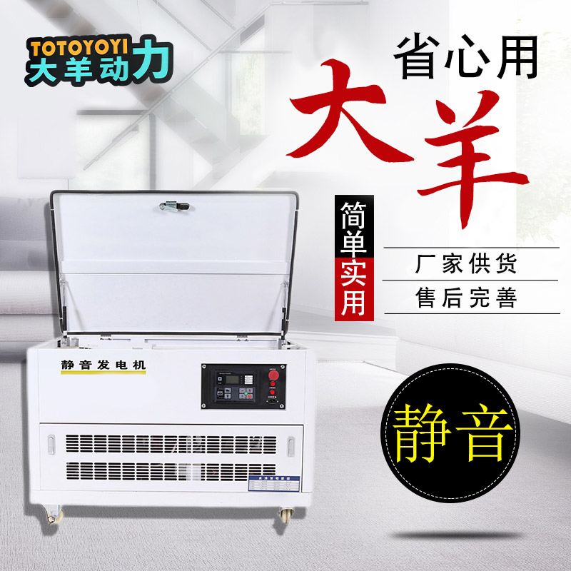 大羊动力8KW燃气发电机