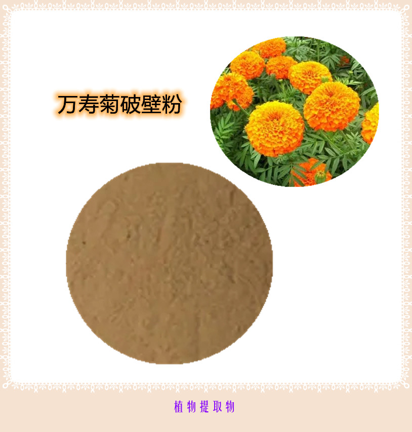万寿菊提取物 10:1 水提 万寿菊素 叶黄素脂