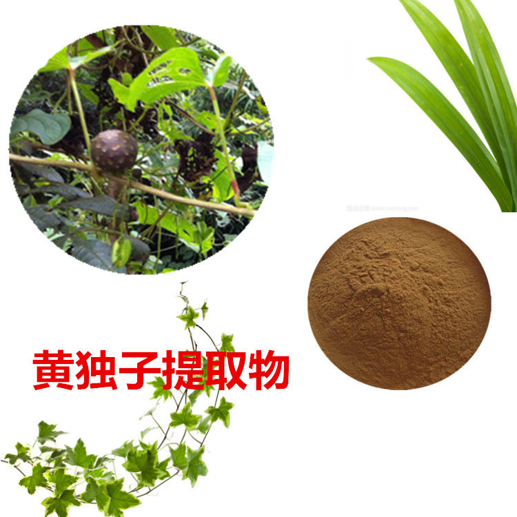 黄独浓缩粉 5倍 黄独提取液 10:1 水提 黄独浸膏粉 水溶
