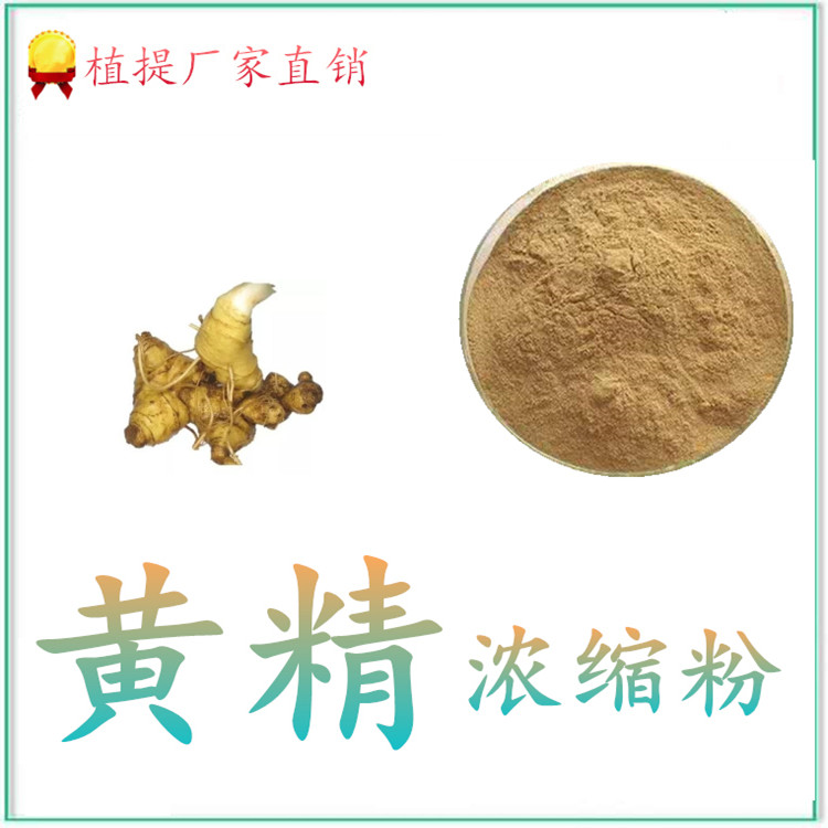 黄精浓缩粉 植物萃取工艺 斯诺特生物 质量稳定