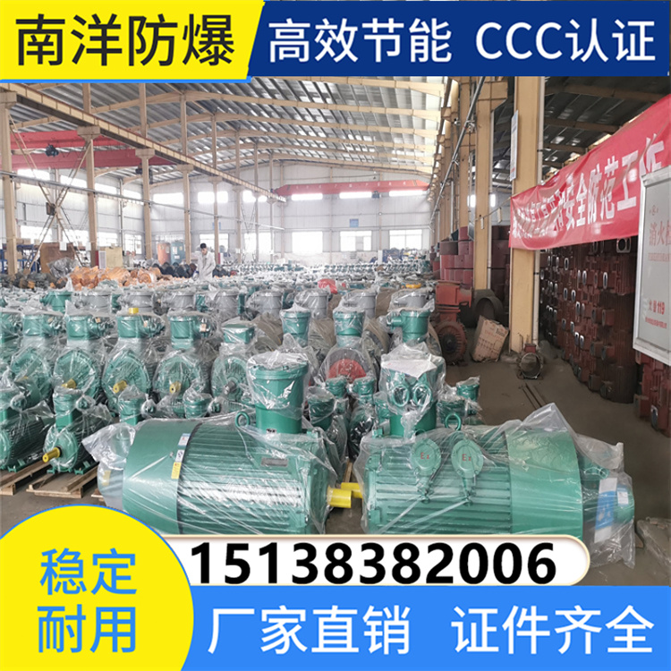 多种规格可选择 南洋 YBBP防爆电机 隔爆型变频调速三相异步电动机