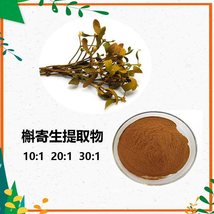 紫竹提取物 10:1 水提 多规格比例 紫竹粉 紫竹浓缩粉