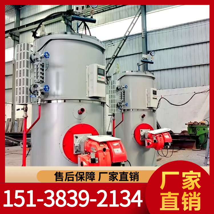 燃气蒸汽发生器 燃油蒸汽发生器 力能锅炉供应充足货源 厂家批发