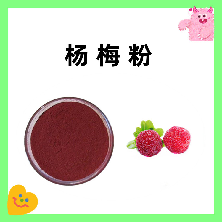 杨梅粉  质量稳定 全水溶粉末 口感微苦六盘韵生物  2kg起订