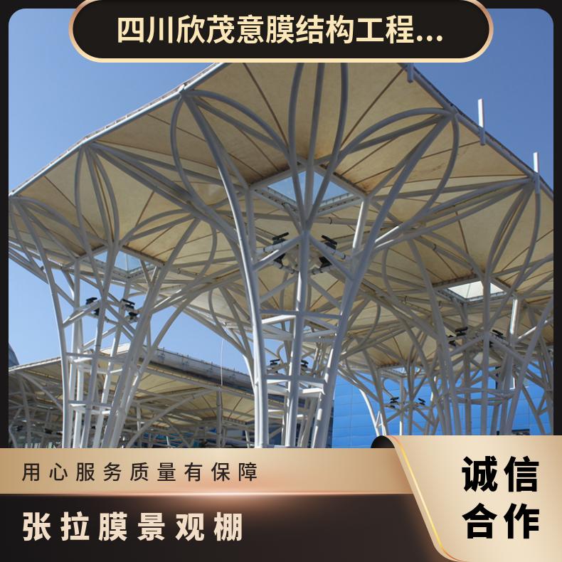 水上乐园观景棚膜结构厂家PVC膜布品种多样效果图/安装承包服务