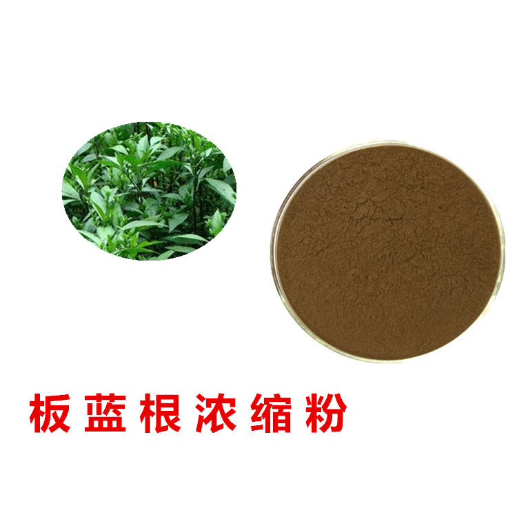 板蓝根提取物 浓缩萃取工艺 规格齐全 可提供样品