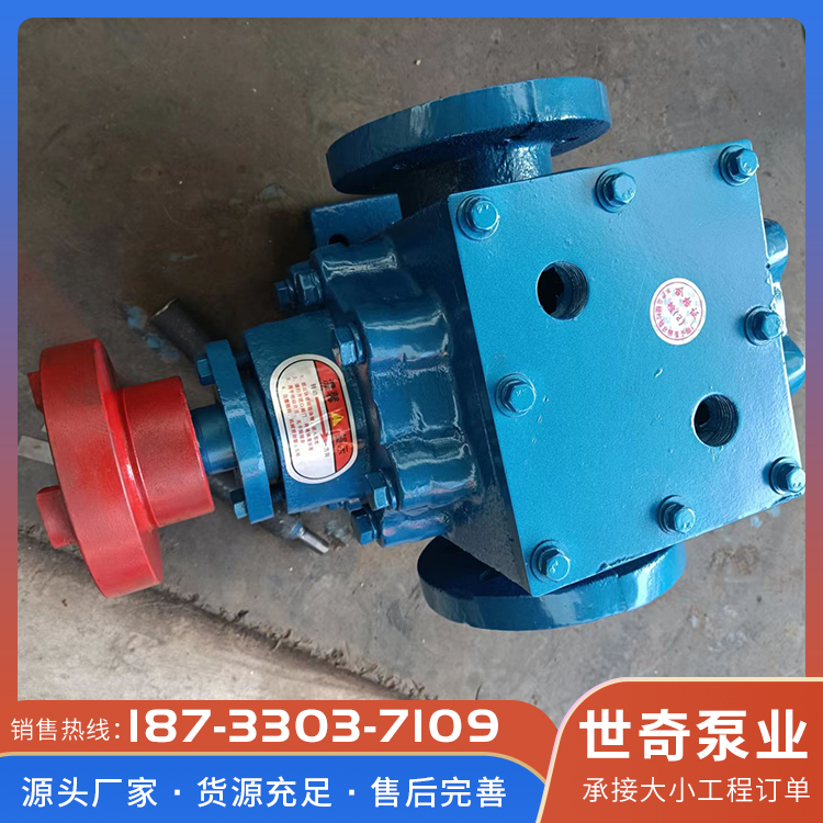 齿轮泵厂 按需定制 树脂输送泵 小流量输油泵