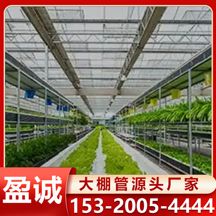 生态智能温室大棚 无土栽培大棚 大棚管批发 智能蔬菜花卉温室工程建造